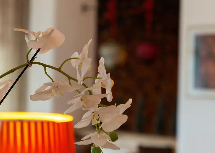 Hotel Europa St. Moritz